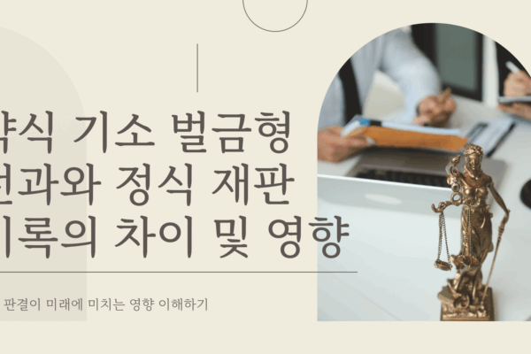 약식 기소 벌금형 전과
