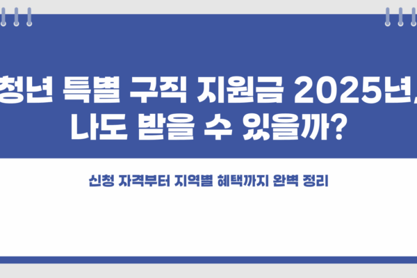청년 특별 구직 지원금